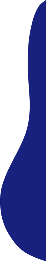 Vector